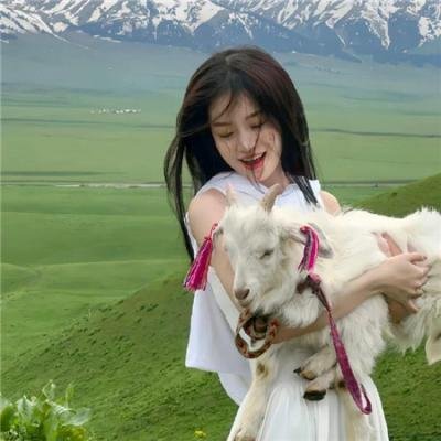 曼哈顿的槲寄生